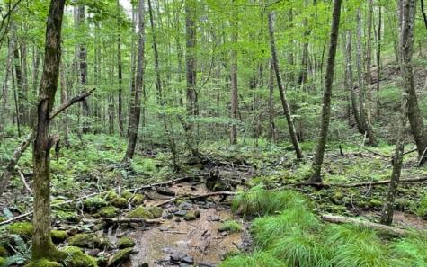 0 Trackrock Gap Road Blairsville GA 30512