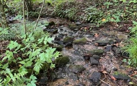 0 Trackrock Gap Road Blairsville GA 30512