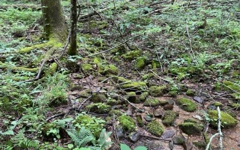 0 Trackrock Gap Road Blairsville GA 30512