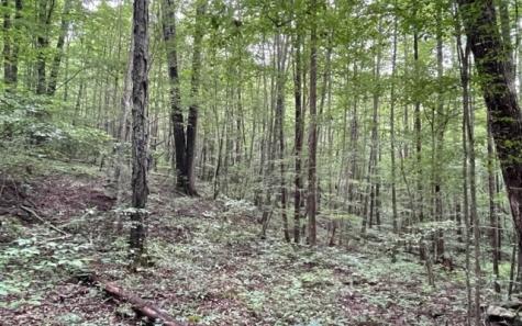 0 Trackrock Gap Road Blairsville GA 30512