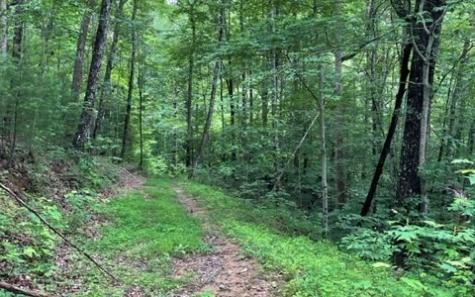 0 Trackrock Gap Road Blairsville GA 30512