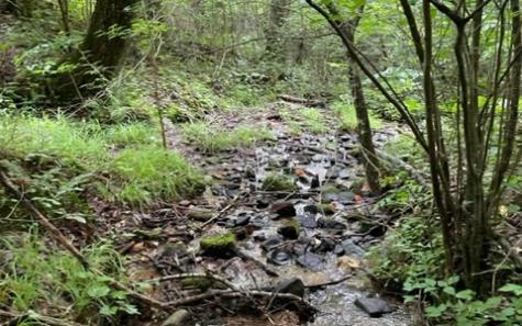 0 Trackrock Gap Road Blairsville GA 30512