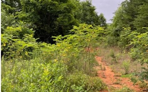 0 Trackrock Gap Road Blairsville GA 30512