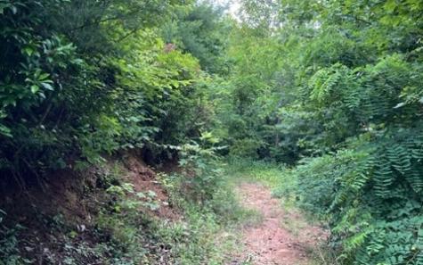 0 Trackrock Gap Road Blairsville GA 30512