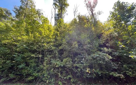 Lot 14 Mountain Harbour Drive Hayesville NC 28904