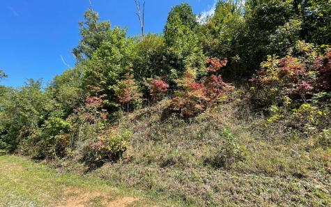 Lot 14 Mountain Harbour Drive Hayesville NC 28904
