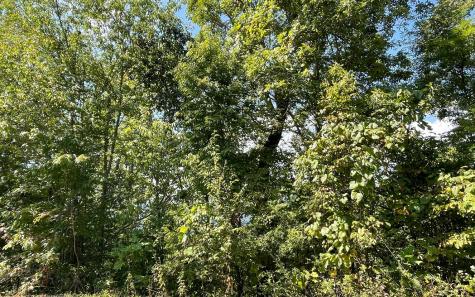 Lot 14 Mountain Harbour Drive Hayesville NC 28904