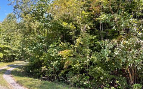 Lot 14 Mountain Harbour Drive Hayesville NC 28904