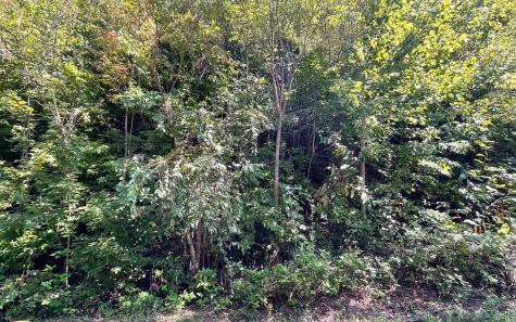 Lot 14 Mountain Harbour Drive Hayesville NC 28904