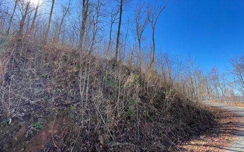 Lot 14 Mountain Harbour Drive Hayesville NC 28904
