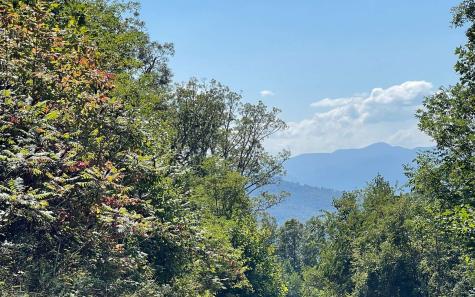 Lot 14 Mountain Harbour Drive Hayesville NC 28904