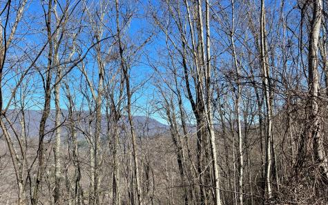 Lot 14 Mountain Harbour Drive Hayesville NC 28904