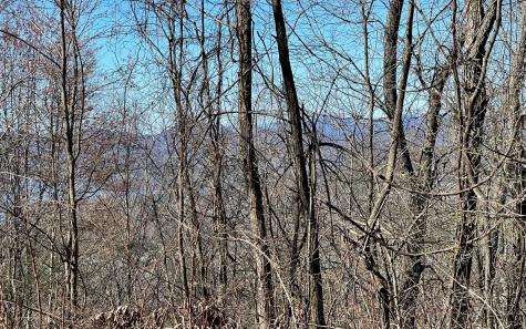 Lot 14 Mountain Harbour Drive Hayesville NC 28904