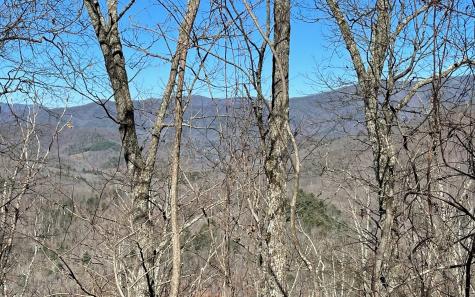 Lot 14 Mountain Harbour Drive Hayesville NC 28904