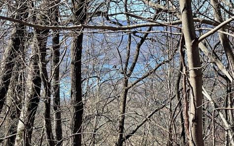 Lot 14 Mountain Harbour Drive Hayesville NC 28904