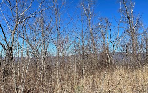 Lot 14 Mountain Harbour Drive Hayesville NC 28904