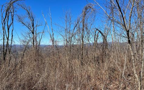 Lot 14 Mountain Harbour Drive Hayesville NC 28904