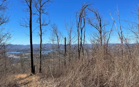 Lot 14 Mountain Harbour Drive Hayesville NC 28904