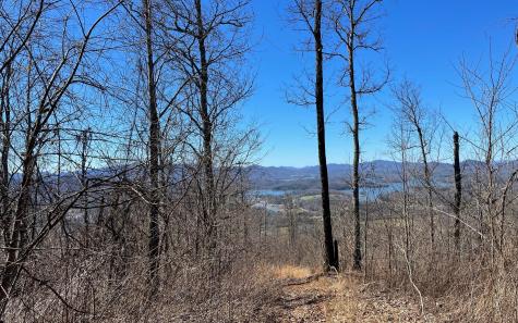 Lot 14 Mountain Harbour Drive Hayesville NC 28904