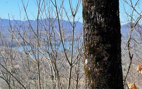 Lot 14 Mountain Harbour Drive Hayesville NC 28904