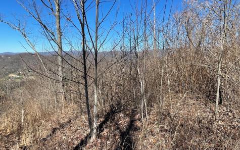 Lot 14 Mountain Harbour Drive Hayesville NC 28904