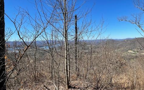 Lot 14 Mountain Harbour Drive Hayesville NC 28904