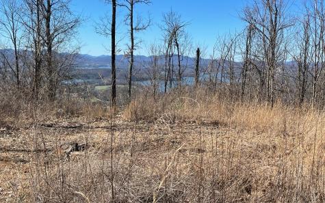 Lot 14 Mountain Harbour Drive Hayesville NC 28904