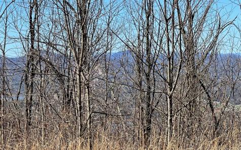 Lot 14 Mountain Harbour Drive Hayesville NC 28904