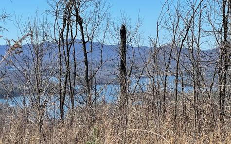 Lot 14 Mountain Harbour Drive Hayesville NC 28904