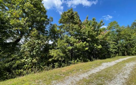 Lot 14 Mountain Harbour Drive Hayesville NC 28904
