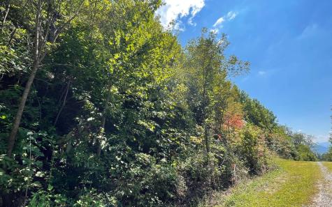 Lot 14 Mountain Harbour Drive Hayesville NC 28904