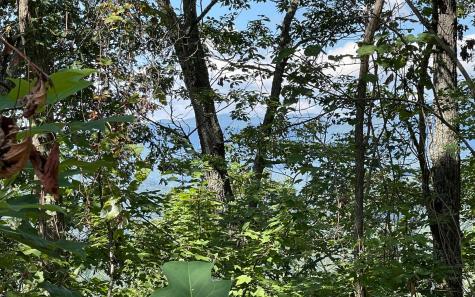 Lot 14 Mountain Harbour Drive Hayesville NC 28904