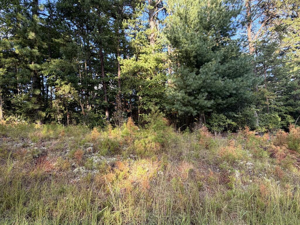 Lot 17 Belaire Drive Copperhill TN 37317
