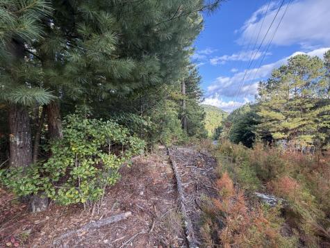 Lot 17 Belaire Drive Copperhill TN 37317
