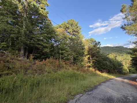 Lot 17 Belaire Drive Copperhill TN 37317