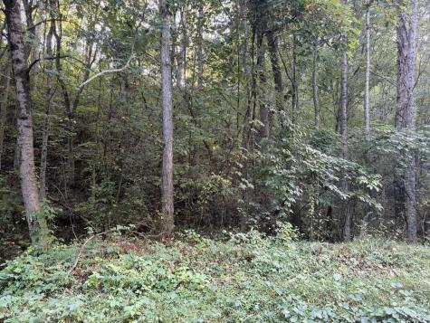 Lot 17 Belaire Drive Copperhill TN 37317