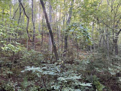 Lot 17 Belaire Drive Copperhill TN 37317