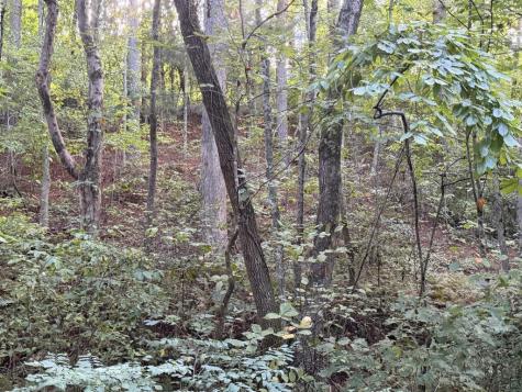 Lot 17 Belaire Drive Copperhill TN 37317