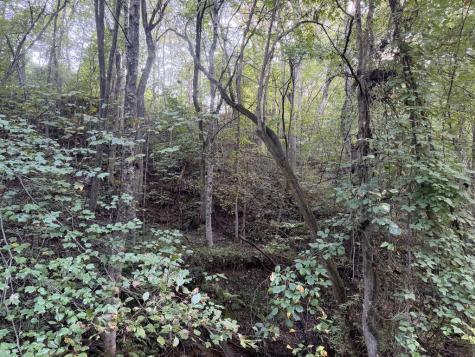 Lot 17 Belaire Drive Copperhill TN 37317