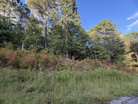Lot 17 Belaire Drive Copperhill TN 37317