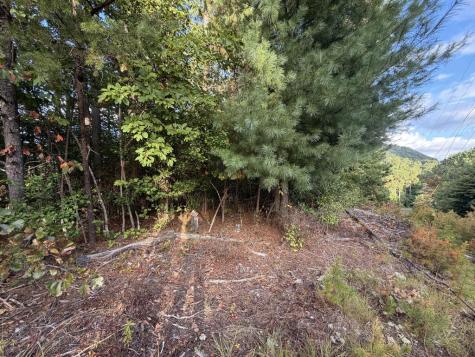 Lot 17 Belaire Drive Copperhill TN 37317