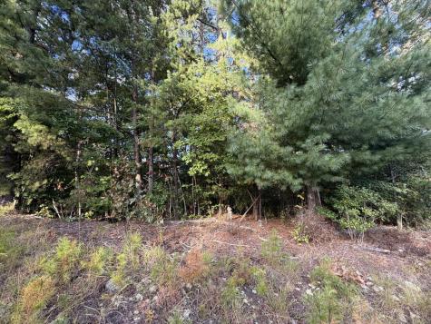 Lot 17 Belaire Drive Copperhill TN 37317