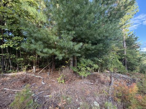 Lot 17 Belaire Drive Copperhill TN 37317