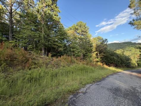 Lot 17 Belaire Drive Copperhill TN 37317