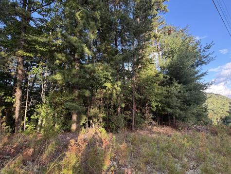 Lot 17 Belaire Drive Copperhill TN 37317