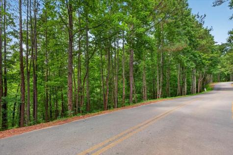 0 Lot 67 Ginger Drive Jasper GA 30143