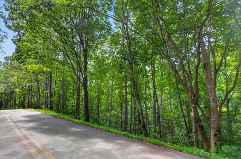 0 Lot 67 Ginger Drive Jasper GA 30143
