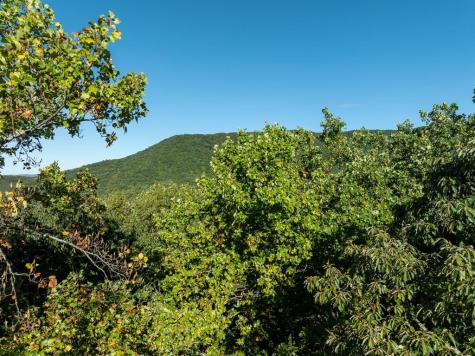 Lot 3 Wilderness Way Ellijay GA 30536