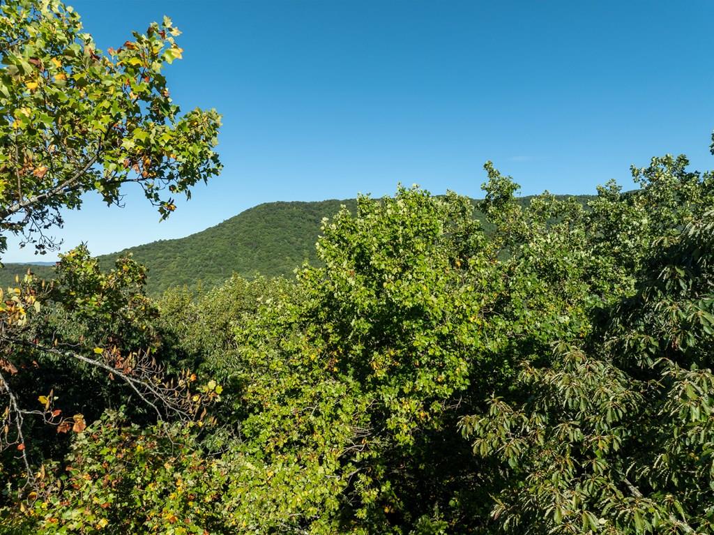 Lot 3 Wilderness Way Ellijay GA 30536