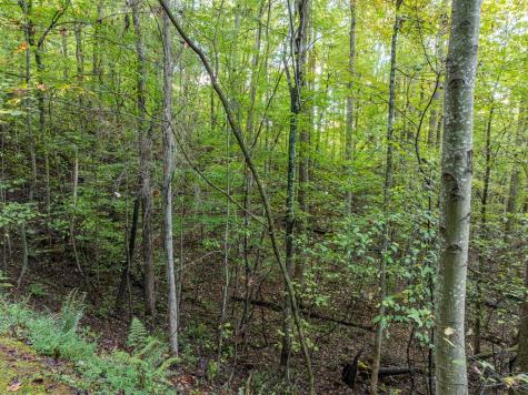 Lot 3 Wilderness Way Ellijay GA 30536